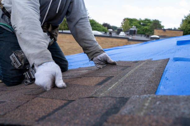 Gutter Replacement in Buckhead Ridge, FL